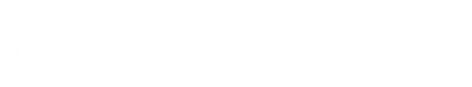 logo horizontal2